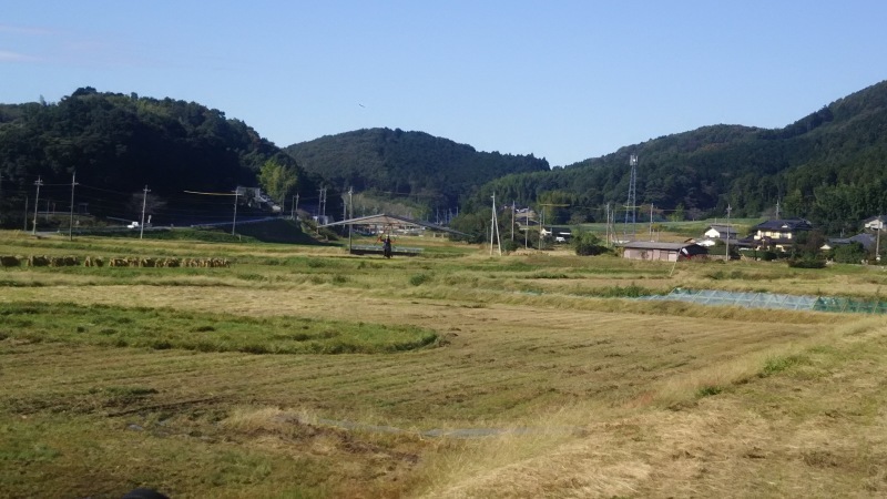 秋って感じ2_a0069056_17274448.jpg