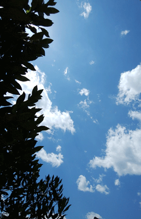 e0001558_18313507.gif