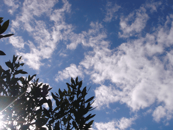 e0001558_18340075.gif