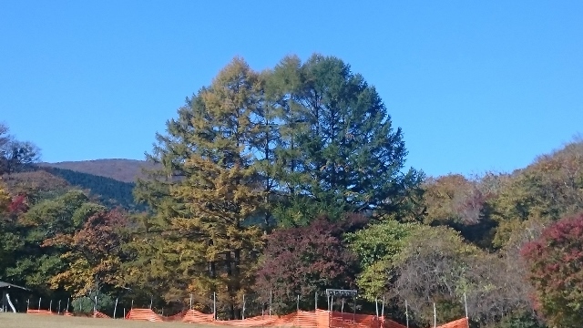 c0328559_20295568.jpg