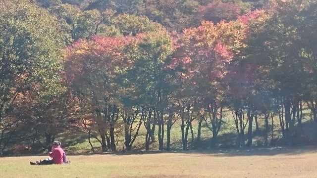 c0328559_20320116.jpg