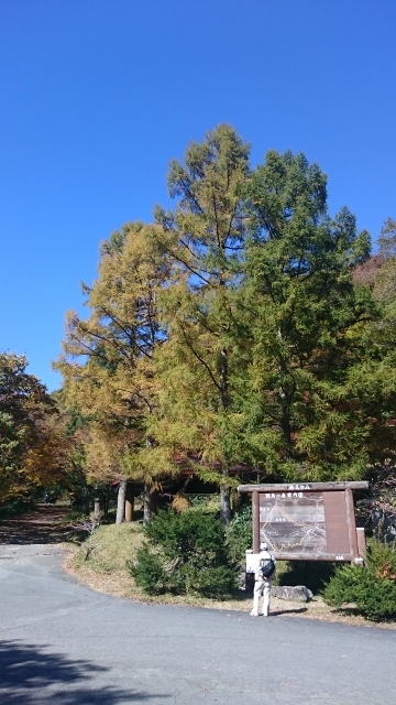 c0328559_20433661.jpg