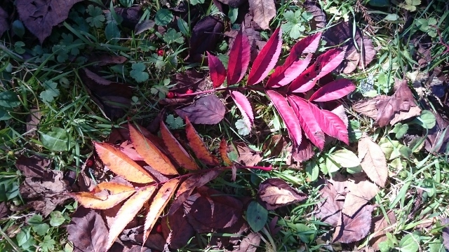 c0328559_21044777.jpg