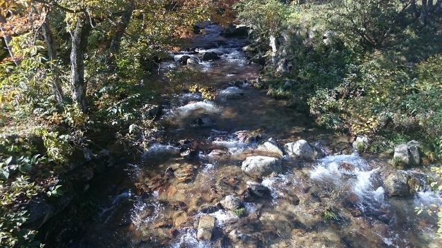 c0328559_21321567.jpg