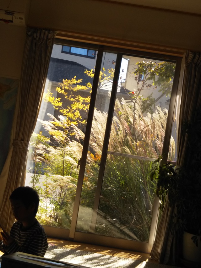 c0149167_14311856.jpg