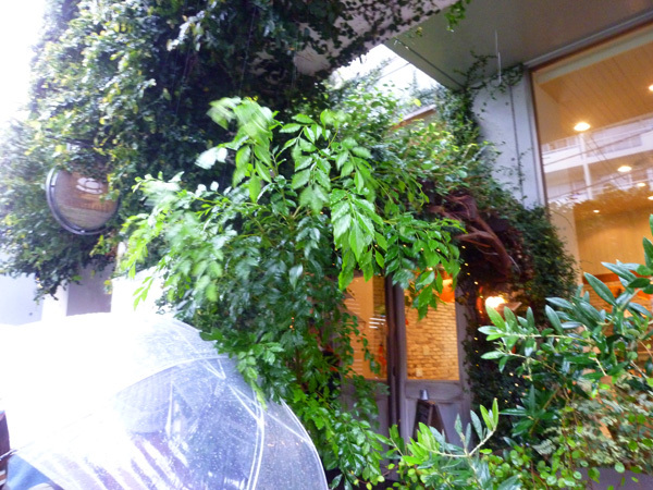 カフェ アクイーユ(cafe accueil)恵比寿本店_c0152767_22153790.jpg