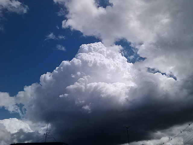e0296069_2238531.jpg