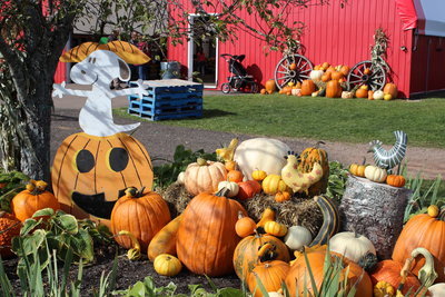 ハロウィーン_c0353373_03363497.jpg
