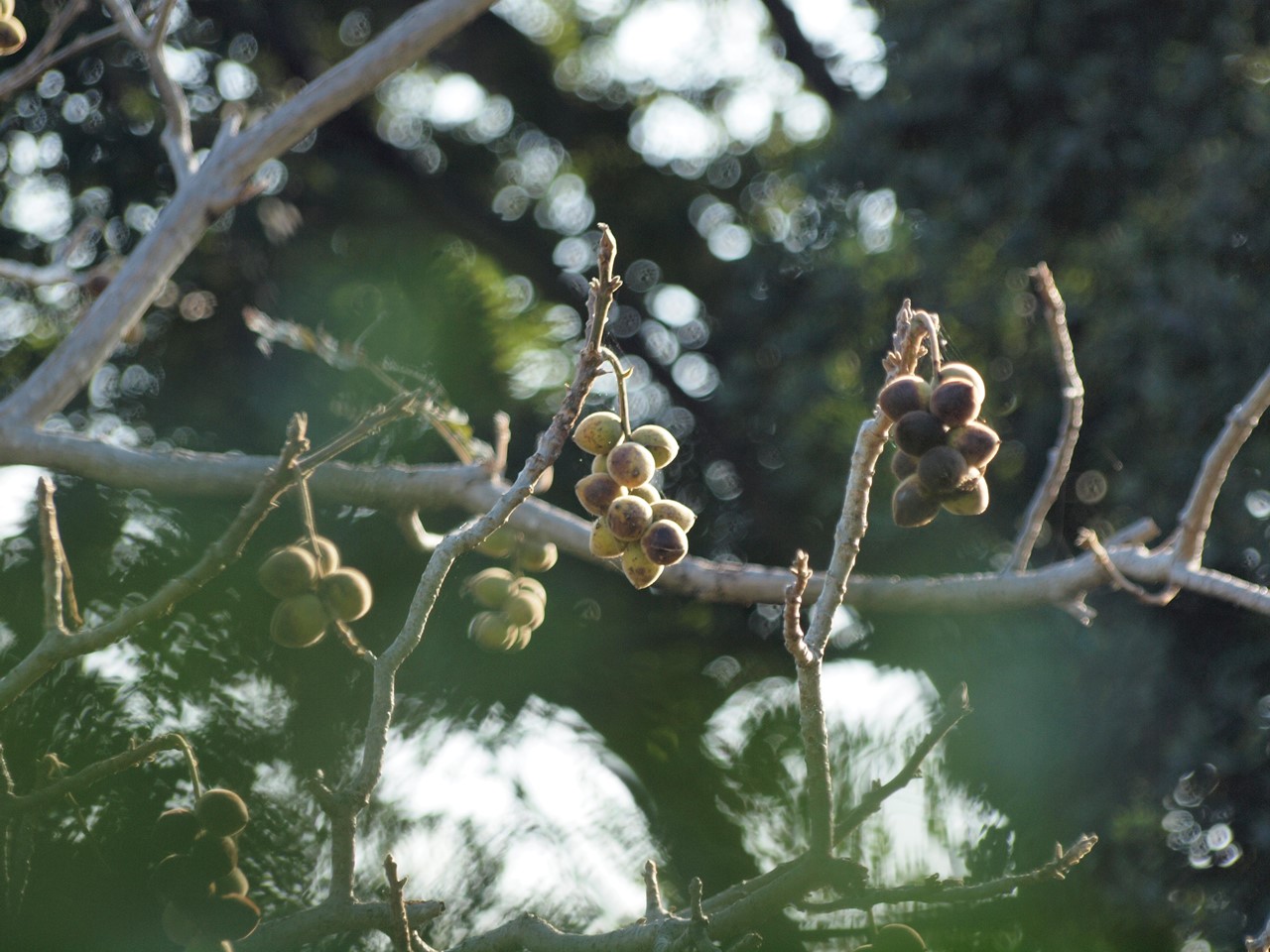 d0054276_204596.jpg