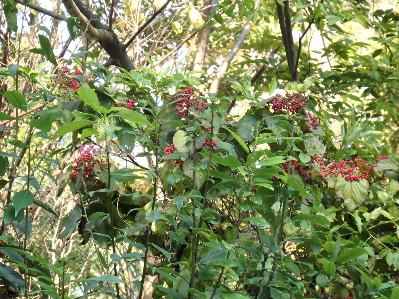 d0054276_2055310.jpg