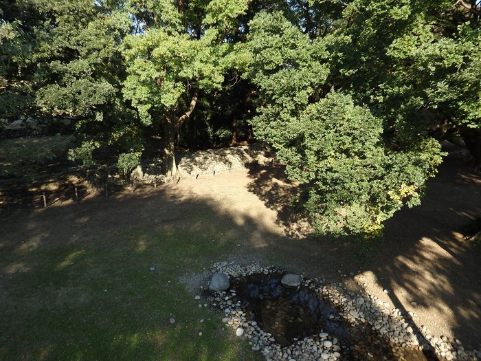 d0054276_207151.jpg
