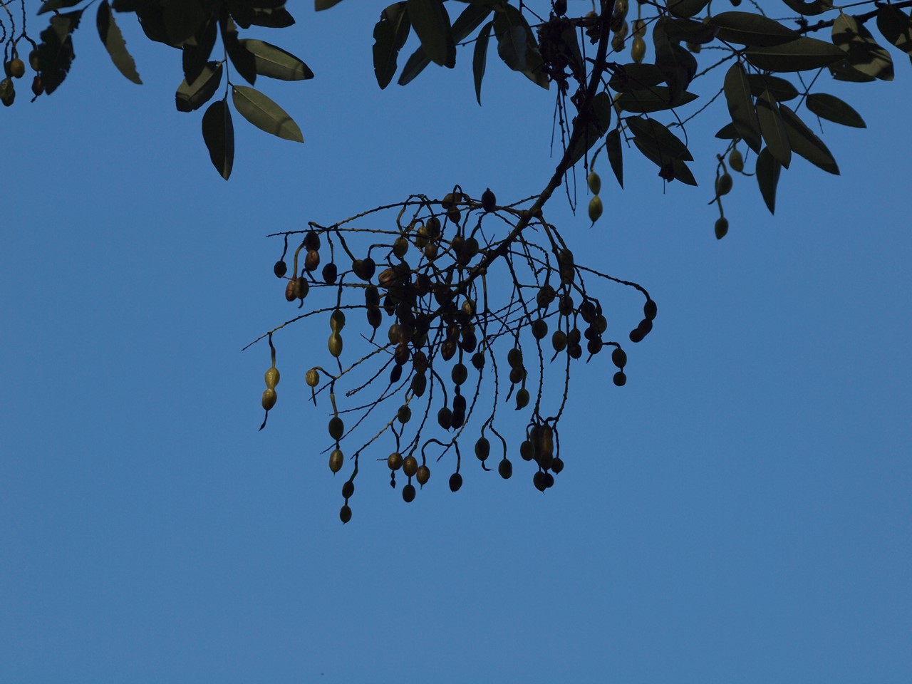 d0054276_209341.jpg