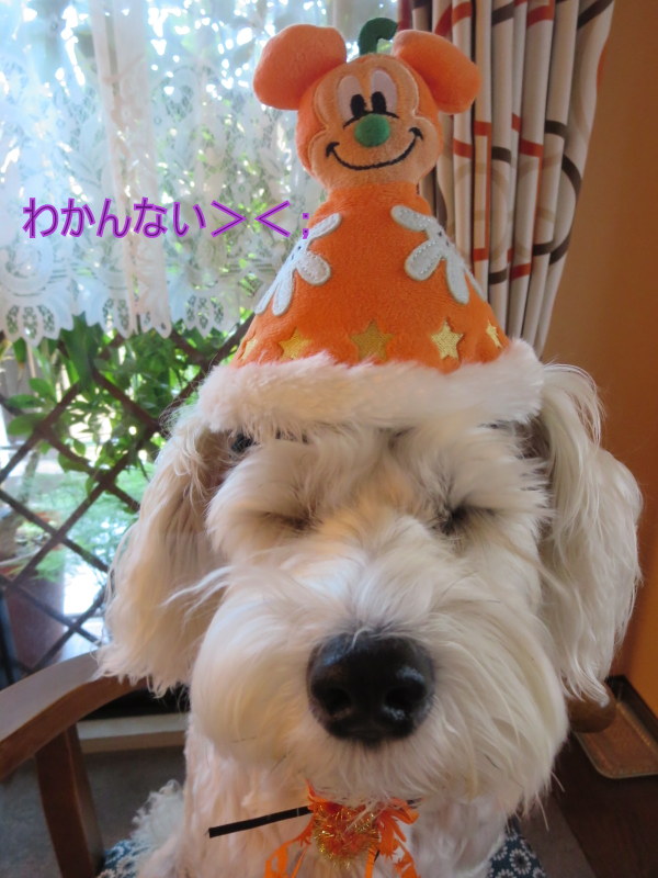 Happy　Halloween♪_d0264176_22201973.jpg