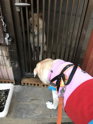 f0315081_22290496.jpeg