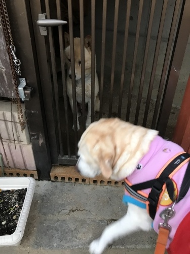 f0315081_22292660.jpeg