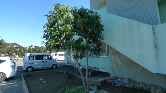 c0212083_17460667.jpg