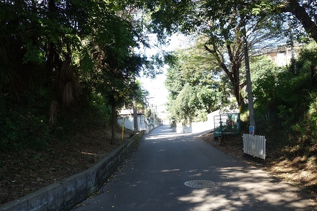 d0183387_16523140.jpg