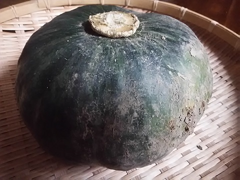 b0266191_09431253.jpg