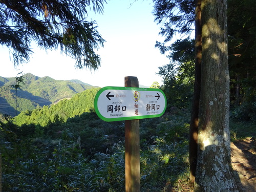 d0212491_1429535.jpg