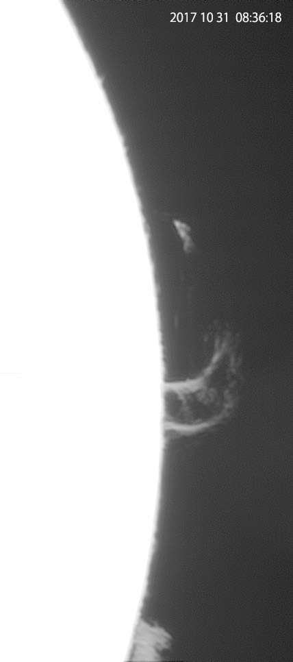10月31日の太陽_e0174091_14444993.jpg