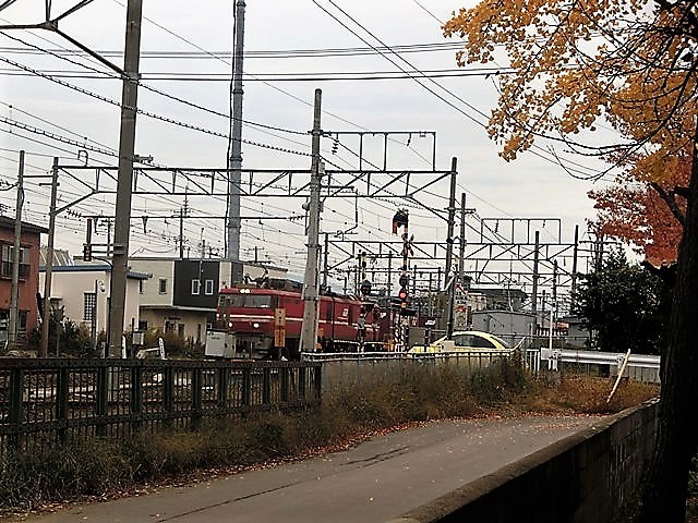 藤田八束の鉄道写真＠ハッピーハロウィーン・・・可愛いハロウィーン、貨物列車の写真_d0181492_23084899.jpg