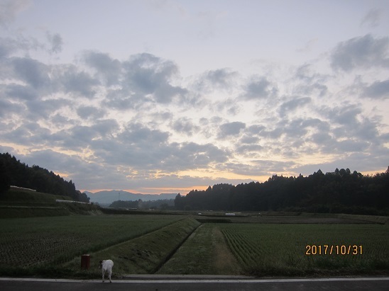 f0106692_07271325.jpg