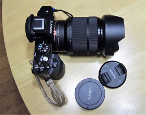 f0381792_10494078.jpg