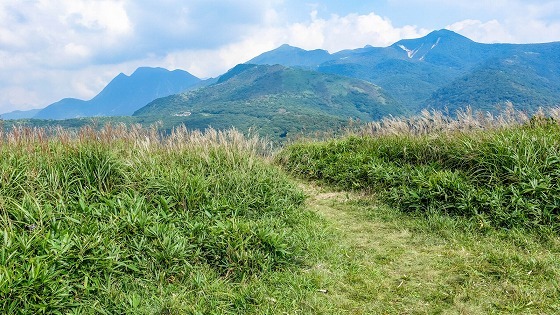e0176993_07090010.jpg
