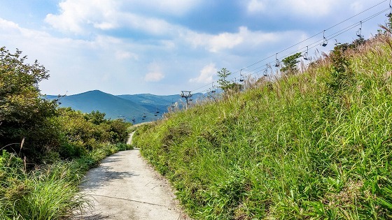 e0176993_07090190.jpg