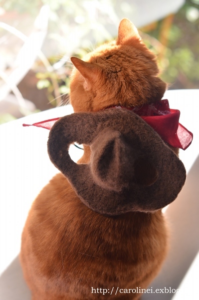 今年のハロウィンは、ねこあつめ　　Handmade Cat Costume- Nekoatsume_d0025294_12391295.jpg