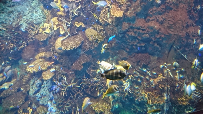 f0376200_10383672.jpg