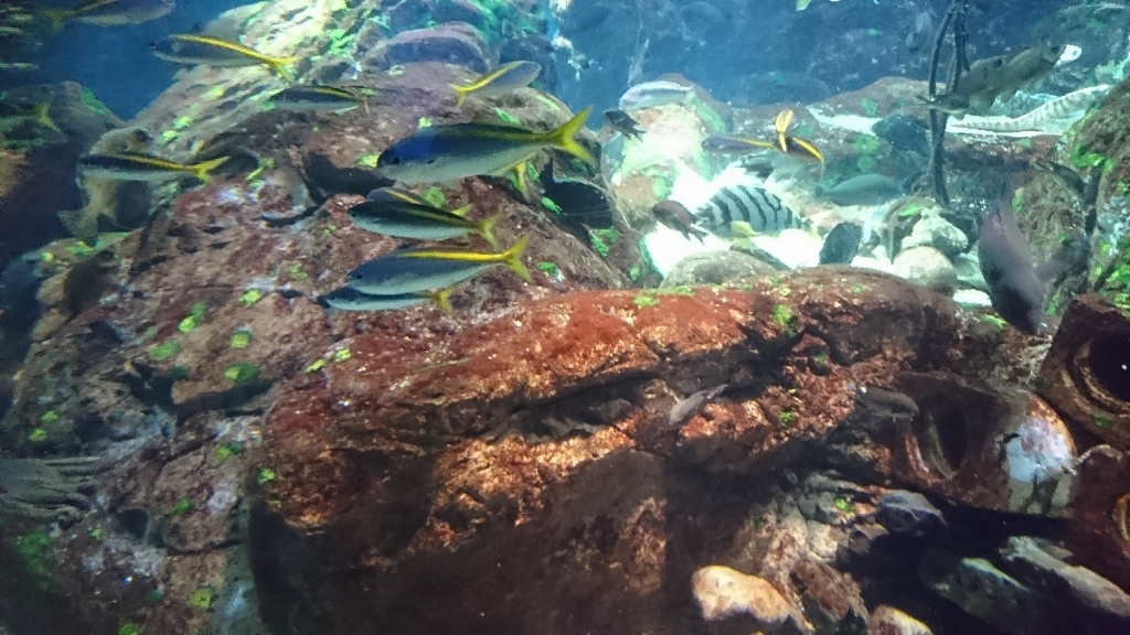 f0376200_10383917.jpg