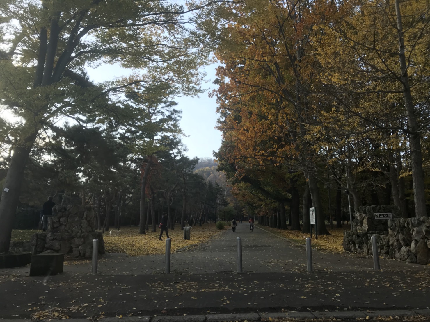 11月1日 ひとログWed(。・ω・。) 今年の冬は除雪車リース!!月々8万円から♬TOMMY本店_b0127002_16441734.jpg