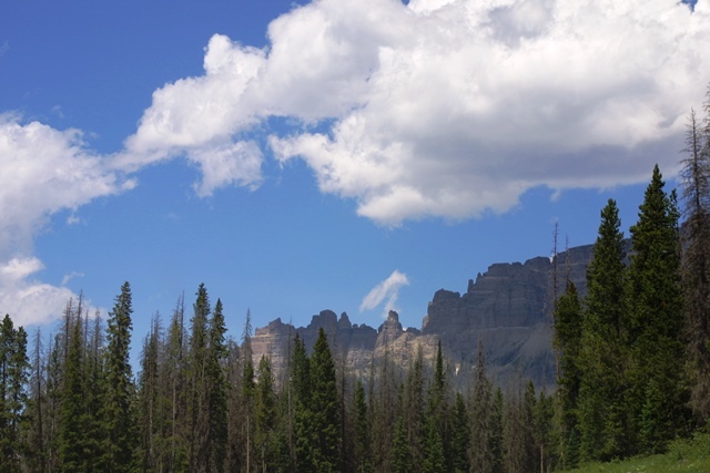 c0062603_11430241.jpg