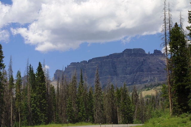 c0062603_11431534.jpg