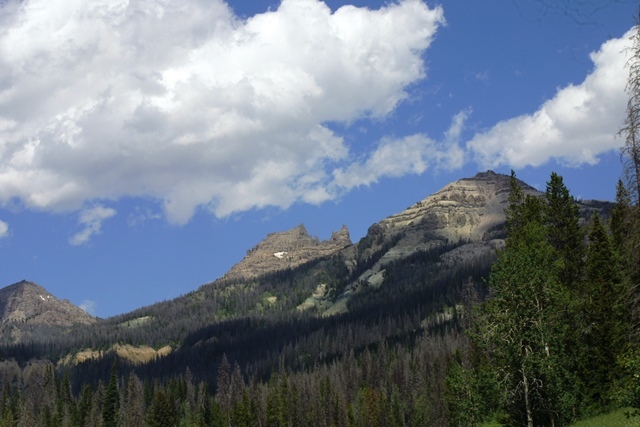 c0062603_11432589.jpg