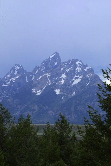 c0062603_11521731.jpg