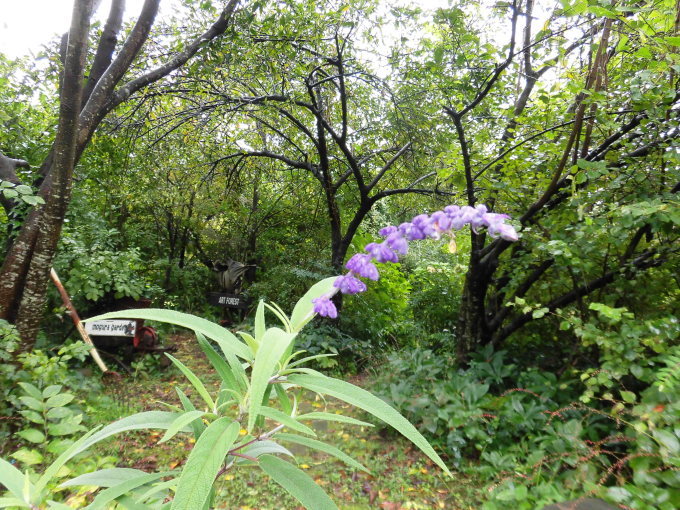 c0156104_00483972.jpg
