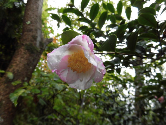 c0156104_00485357.jpg