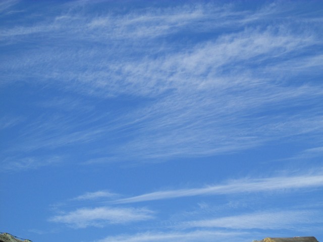 d0147804_21093135.jpg