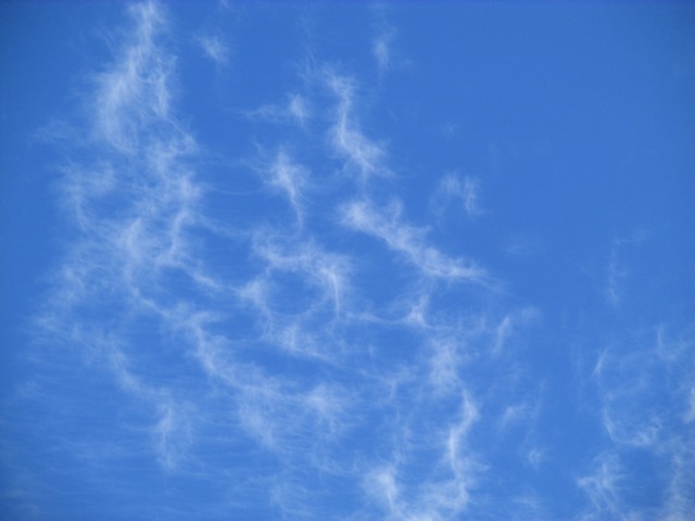 d0147804_21094541.jpg