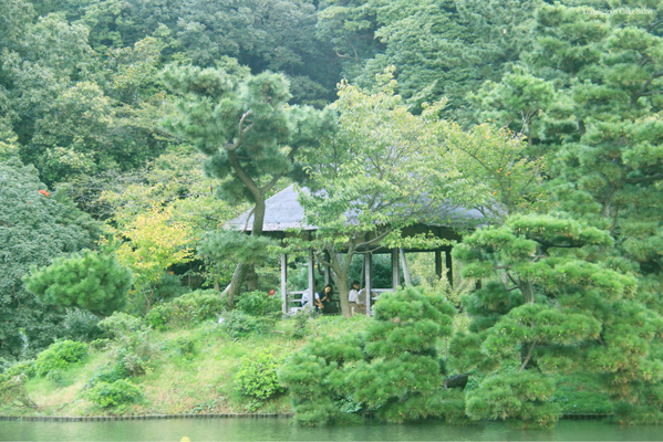 和のお月見を感じに　〜　横浜三渓園_f0370305_05151047.jpg