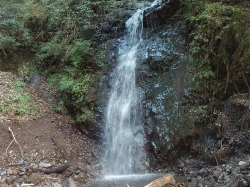 d0342206_17154591.jpg