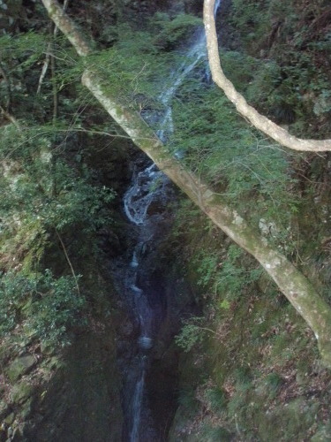 d0342206_17155996.jpg