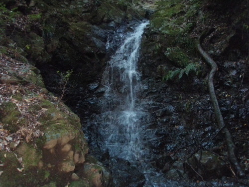 d0342206_17162176.jpg
