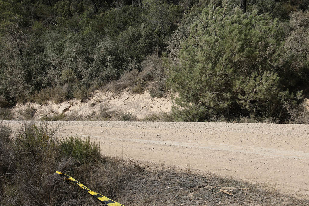 RALLY DE ESPANA 2017 06 DAY1 SS4 Caseres 2_b0315809_21465208.jpg