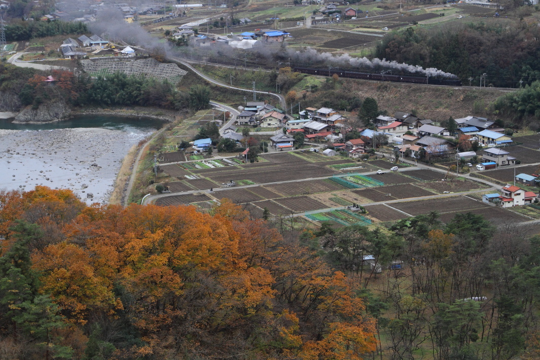 紅葉の上越線 - 上越線・2016年 -_b0190710_23591355.jpg