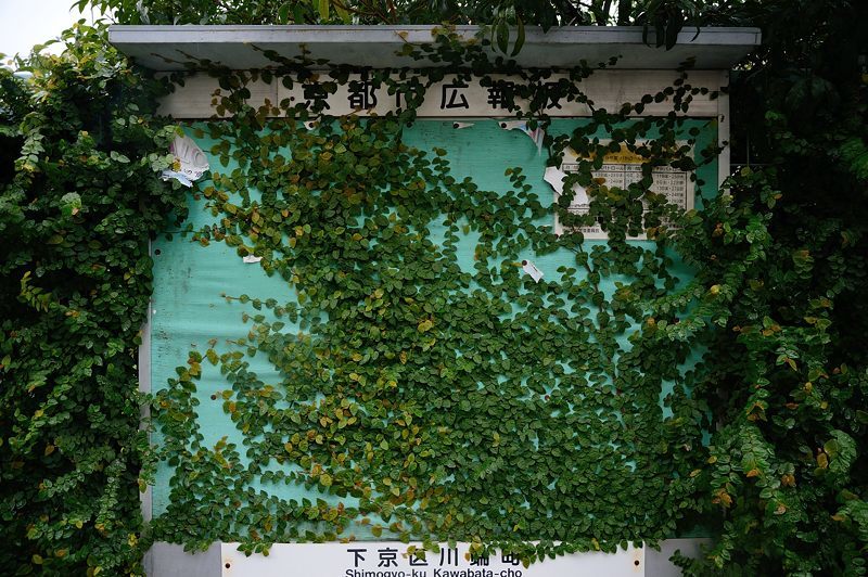f0032011_19493627.jpg