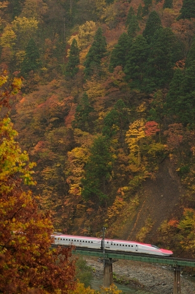 e0005714_19554806.jpg