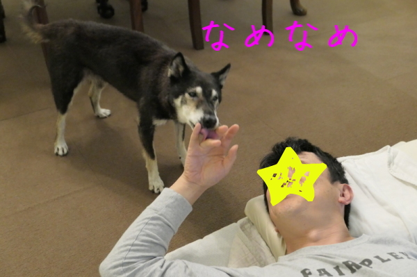f0369014_17005825.jpg
